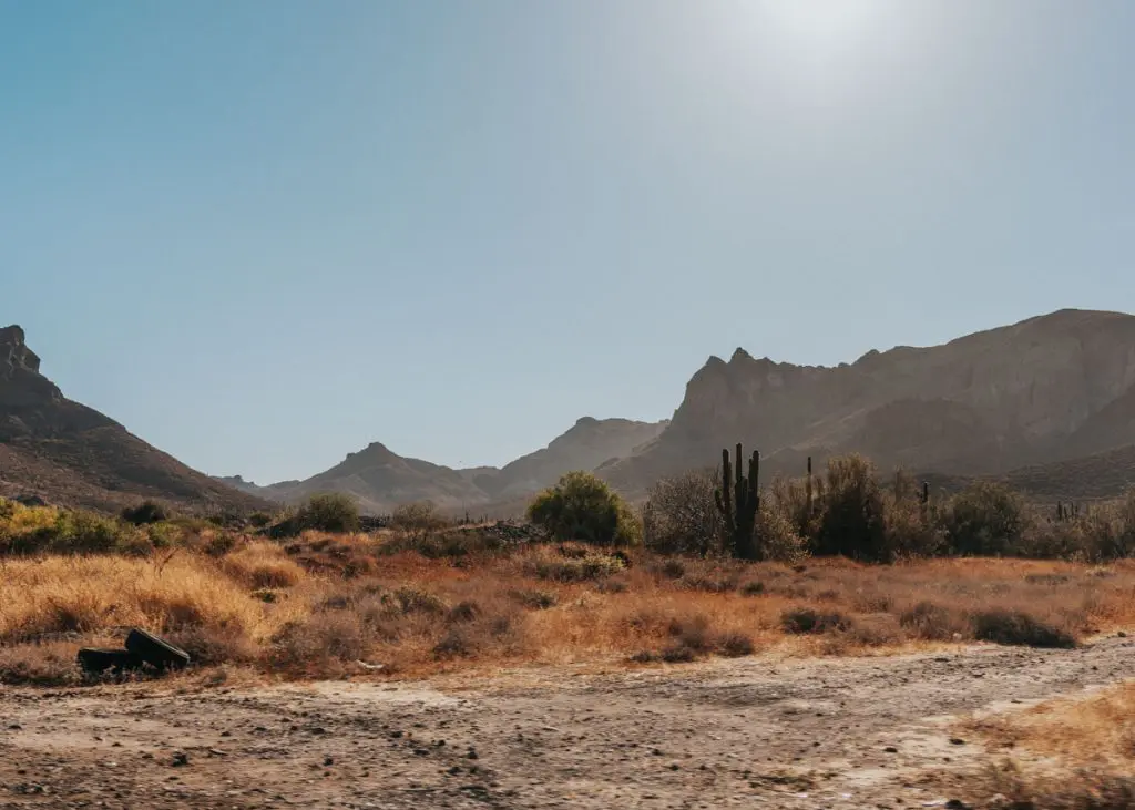 Baja California desert