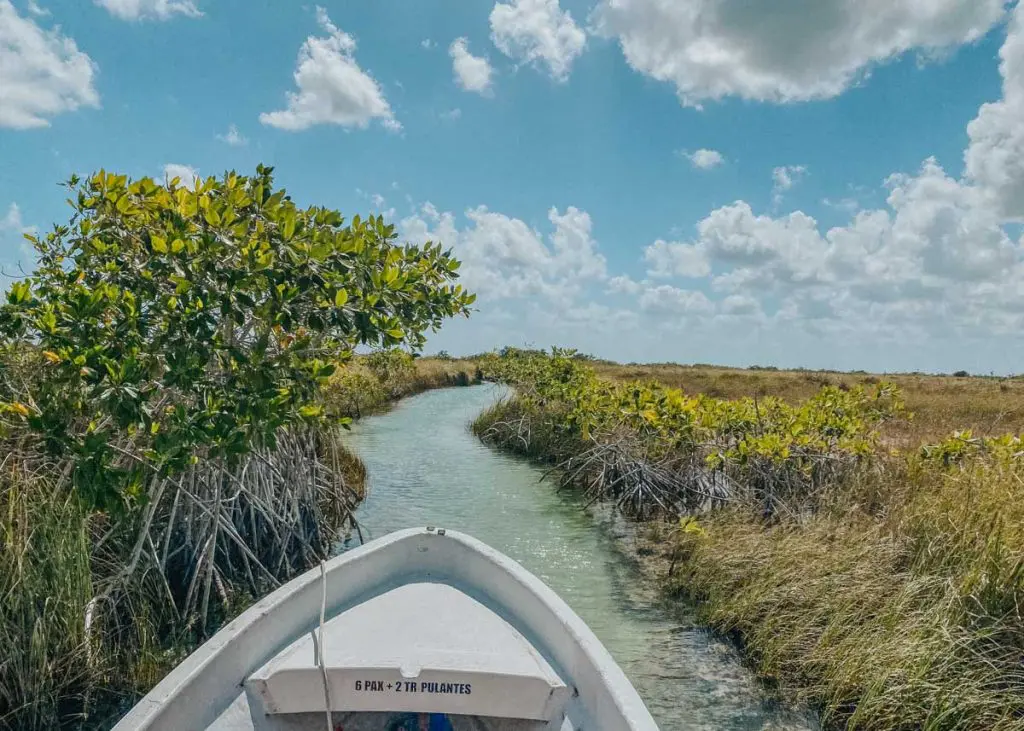 Outdoor activities in tulum mexico