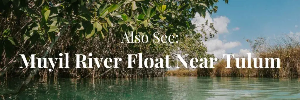 Image of Mayan canal at Sian Kaan Biosphere Reserve Near Tulum. Text reads Also See Muyil River Float Near Tulum.