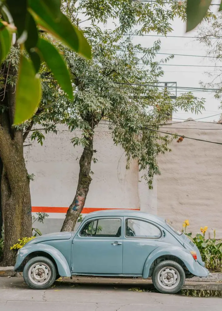 Exploring the streets of Coyoacan