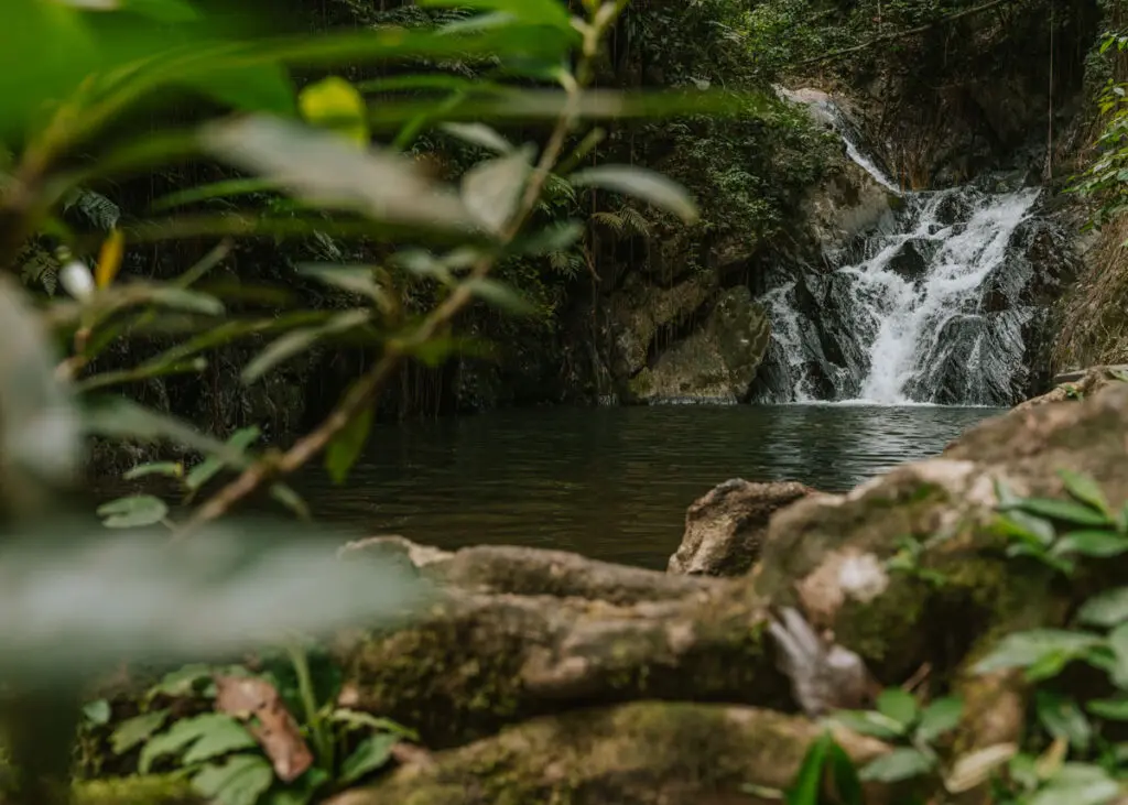 Billy Barquedier Waterfall on the Hummingbird Highway