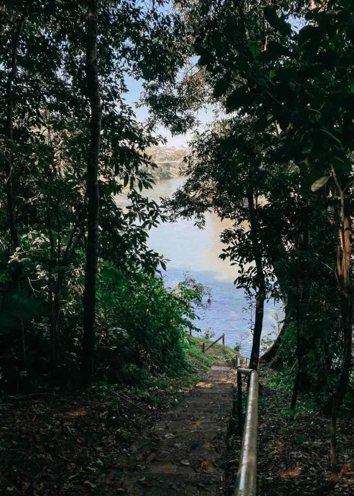 Guanacaste National Park in Belmopan, Belize