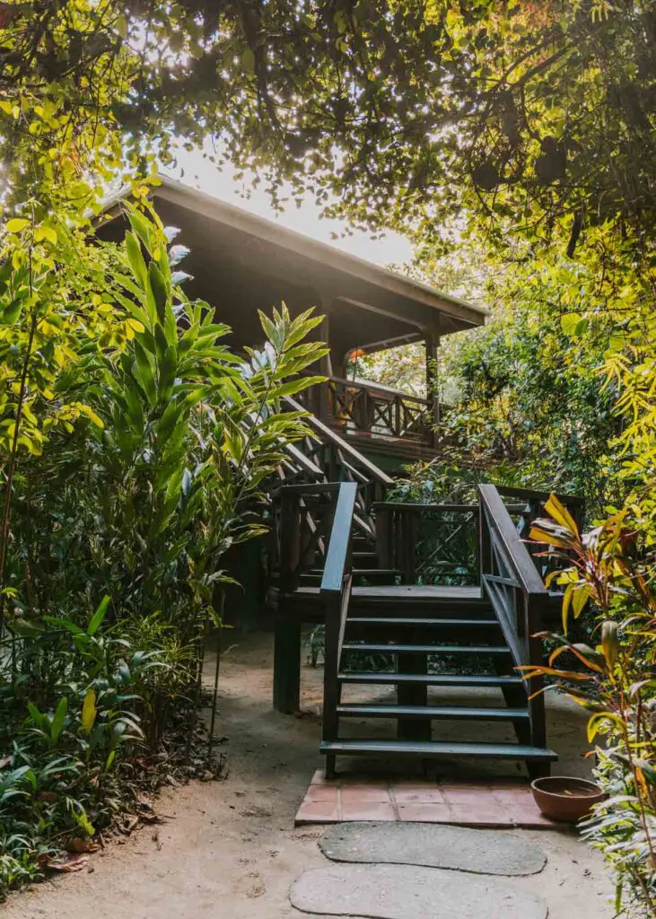 Hamanasi Resort Deluxe Treehouse