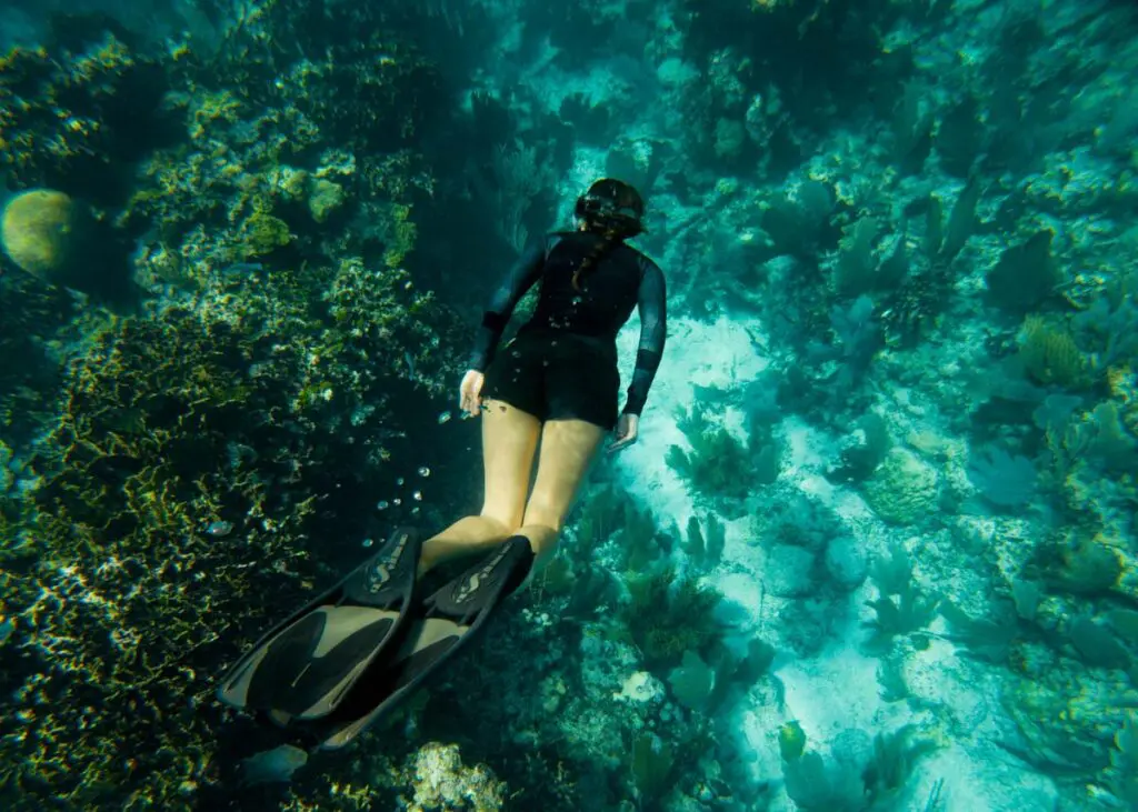 Hamanasi Snorkeling and Driving Tours