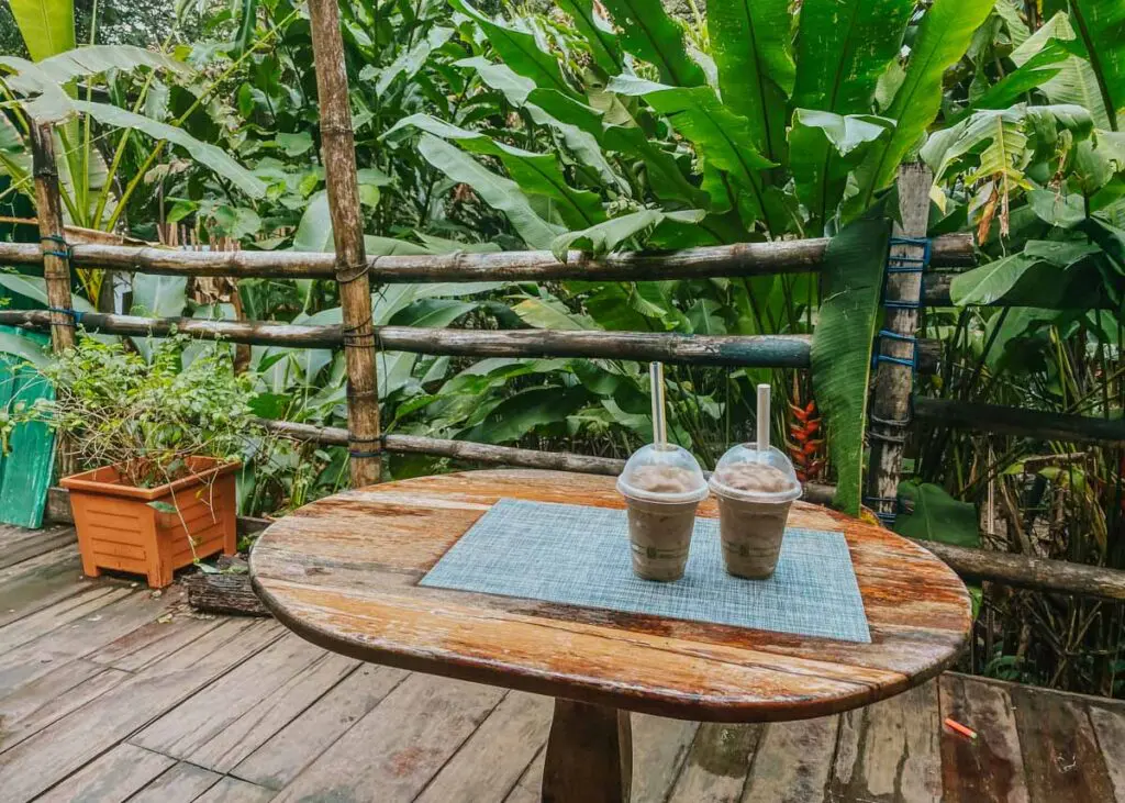 Chocolate smoothies from Lamanai Chocolate in Belize