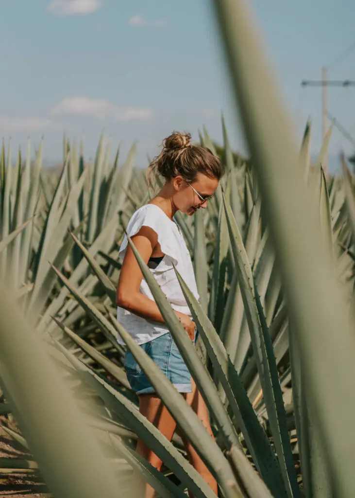 Walking through agave fields at a mezcal tasting tour in Mexico