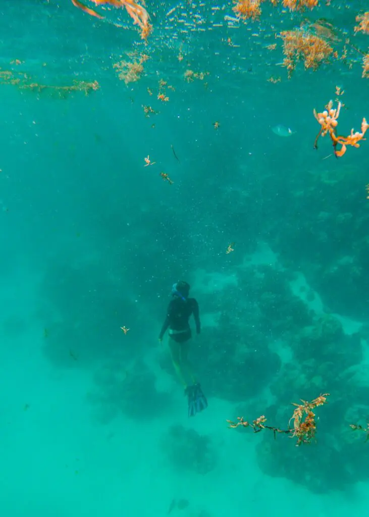 freediving in belize