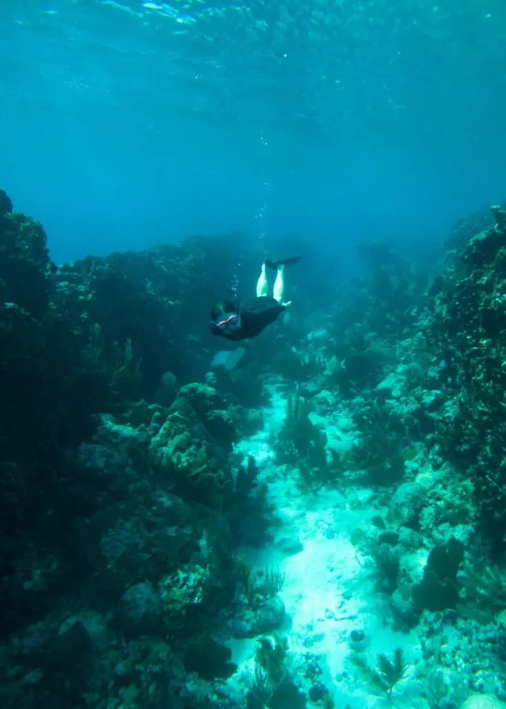 woman snorkeling through trench in the belize barrier reef near hopkins for 10 days in belize itinerary