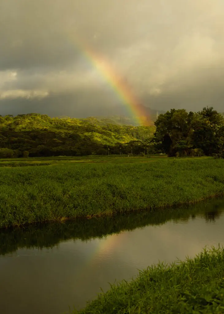 Exploring Kauai off the beaten path along the Hanaeli river