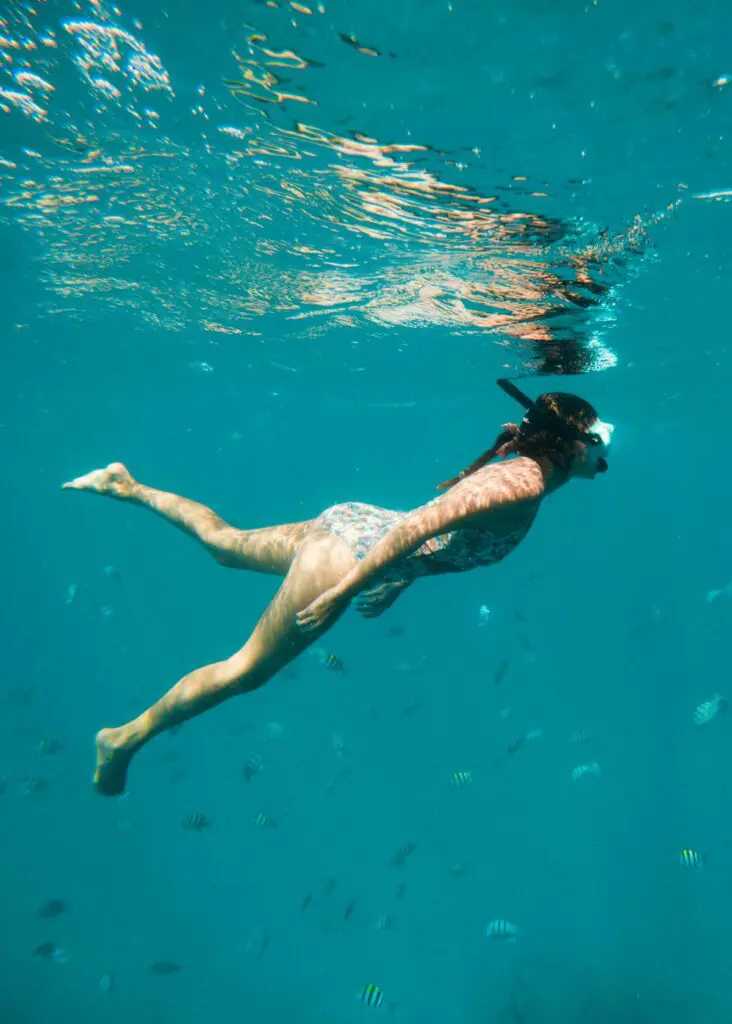 Snorkeling with a school of fish on Oahu, Hawaii