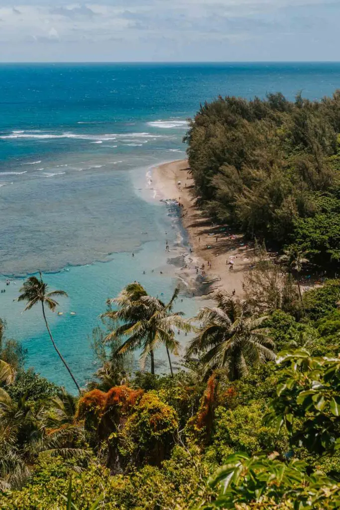View looking down on a golden sand beach with a shallow blue water and a visible reef. This is a beach on Kauai's North Shore.