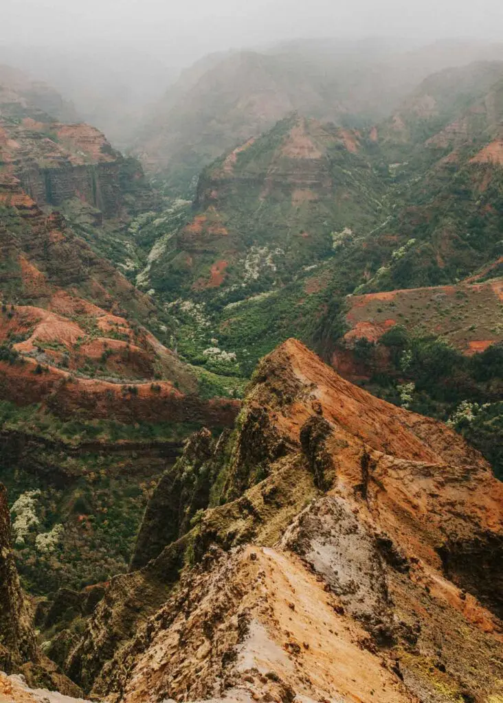 Foggy Waimea Canyon in Kauai, Hawaii