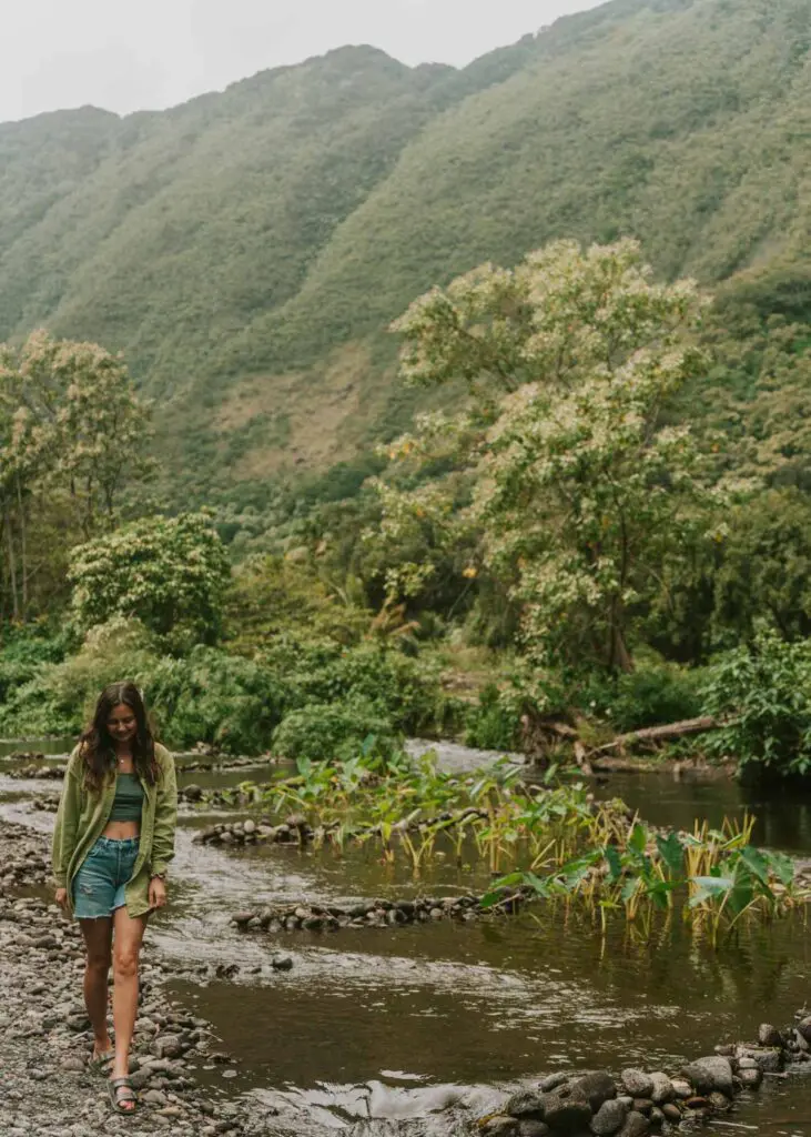 A person walks along a rocky riverbank in Waipio Valley on Hawaii's Big Island, surrounded by lush greenery and mountainous terrain. The overcast sky casts a serene, muted light over this Hawaiian landscape. The individual is wearing a green jacket and shorts, perfectly blending with the natural beauty.