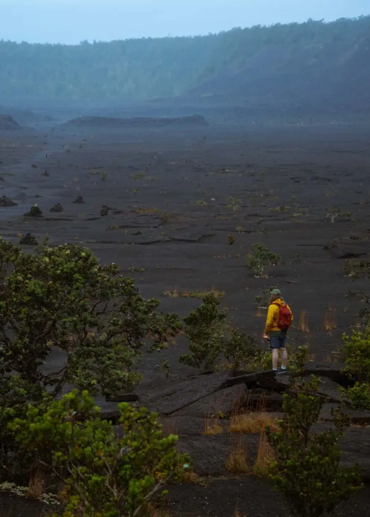 Hiking through the Kiluea Iki crater trail on Hawaii's Big Island