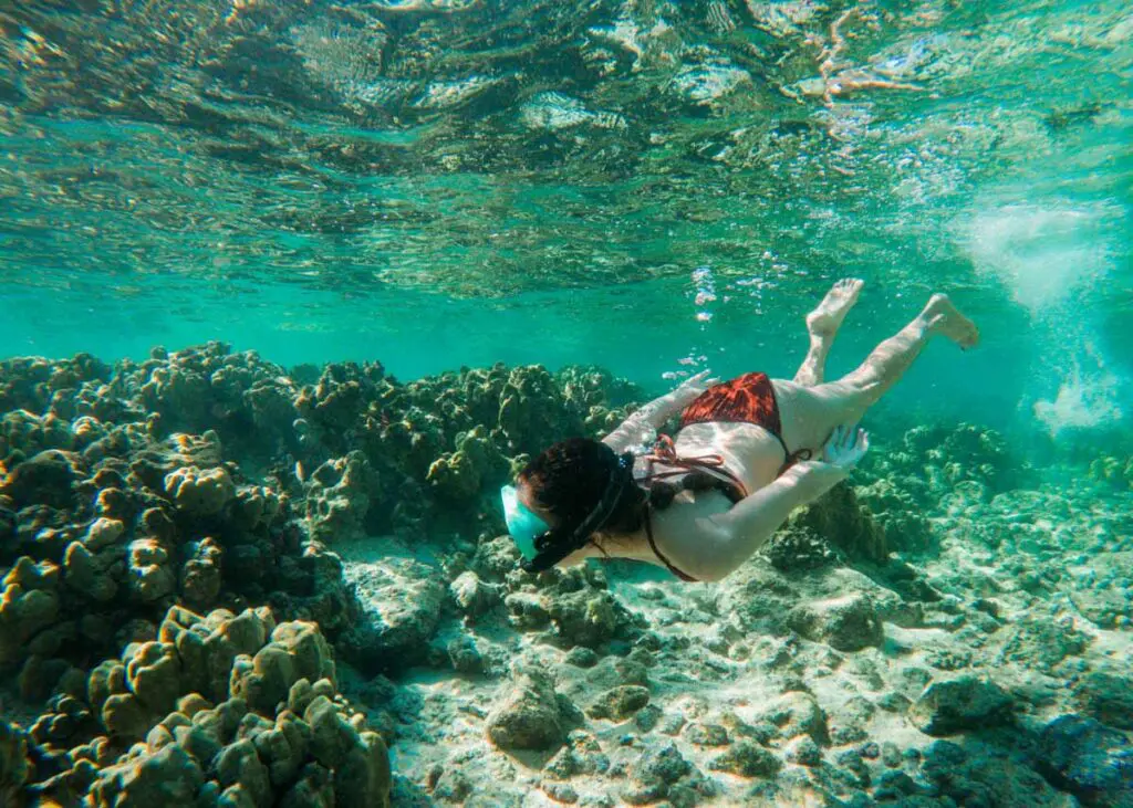 A person wearing a snorkel, mask, and flippers swims underwater over a vibrant coral reef in Hawai'i. They are surrounded by clear blue water, with sunlight filtering through, highlighting the texture and color of the coral beneath.