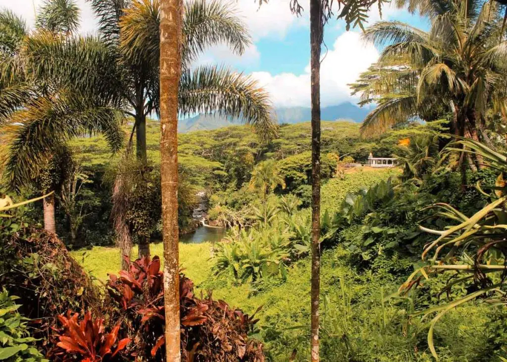 The grounds of Kauai's Hindu Monastery feel like a tropical botanical garden! 