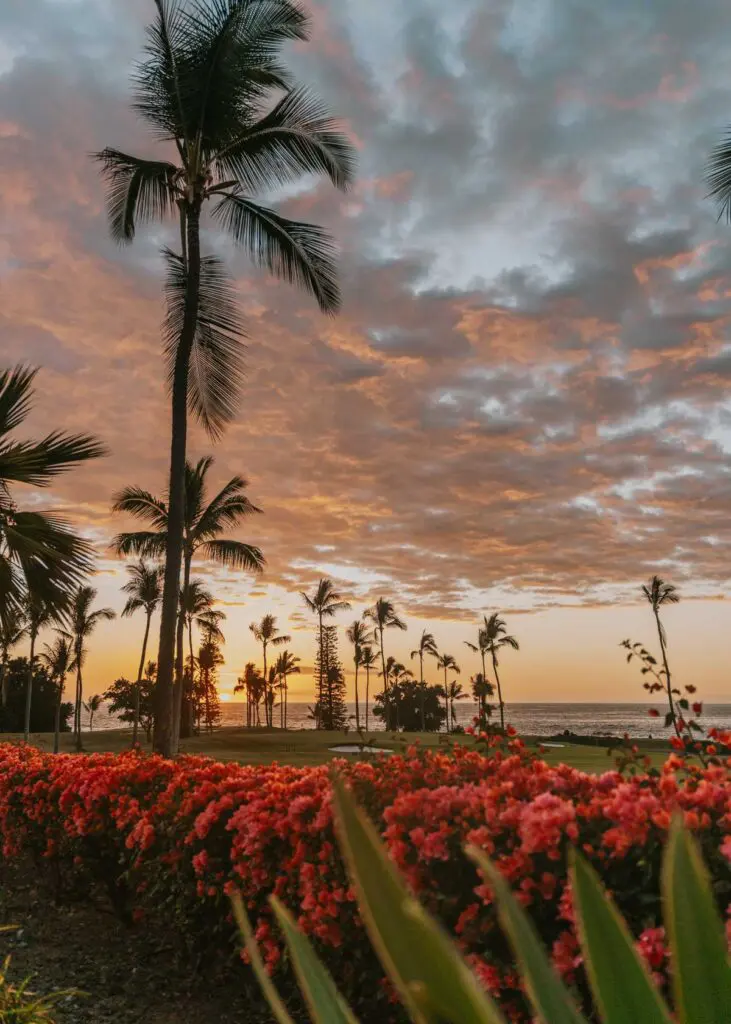 Hawaii on a Budget