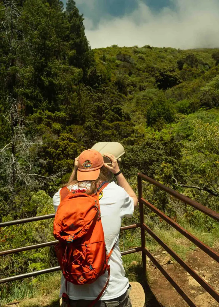Man with orange hat and backpack birdwatching at Hosmer Grove trail at Haleakalā National Park in Maui