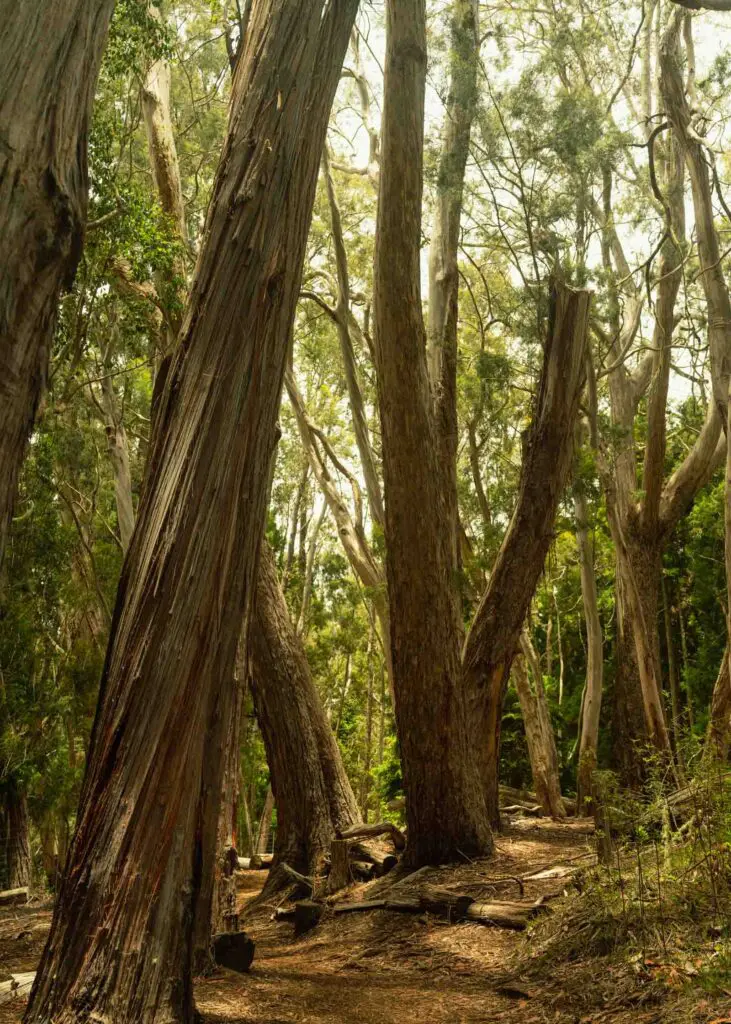 Exploring Maui off the beaten path
