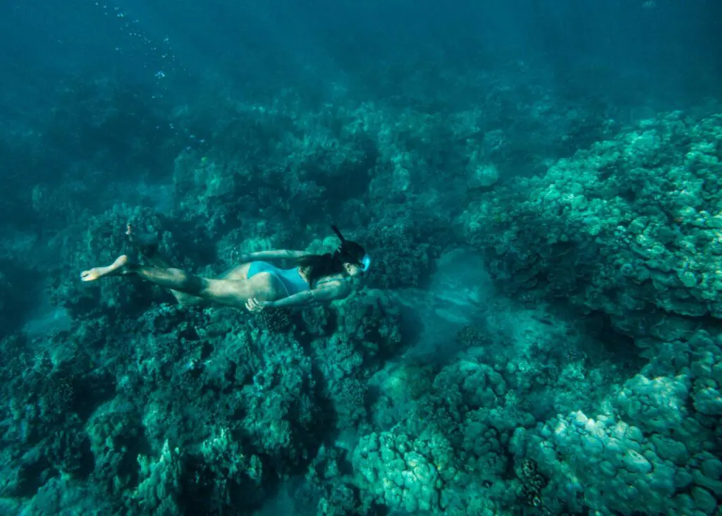 Snorkeling in Kihei, Maui