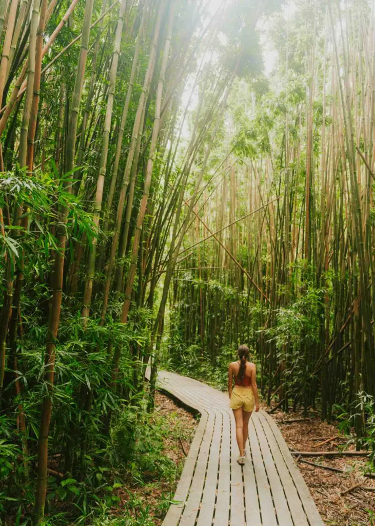 Woman walking through a bamboo forest on the Pipiwai Trail on the Road to Hana