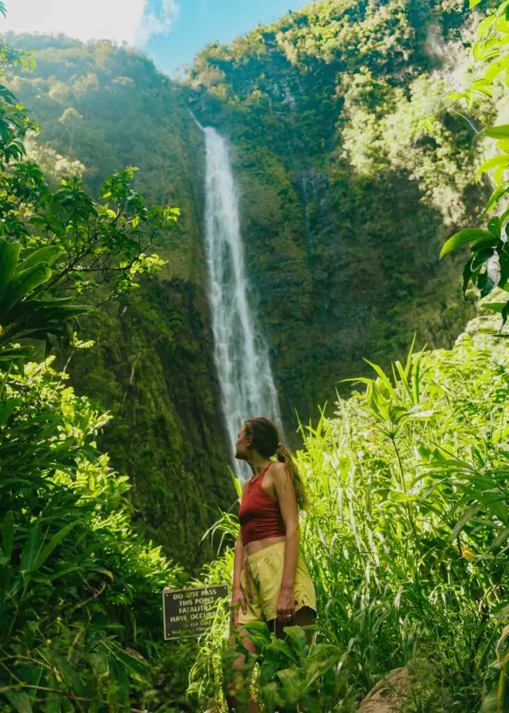 Gazing up at Waimoku Falls