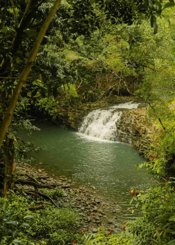 Twin falls waterfall along the Road to Hana in Maui