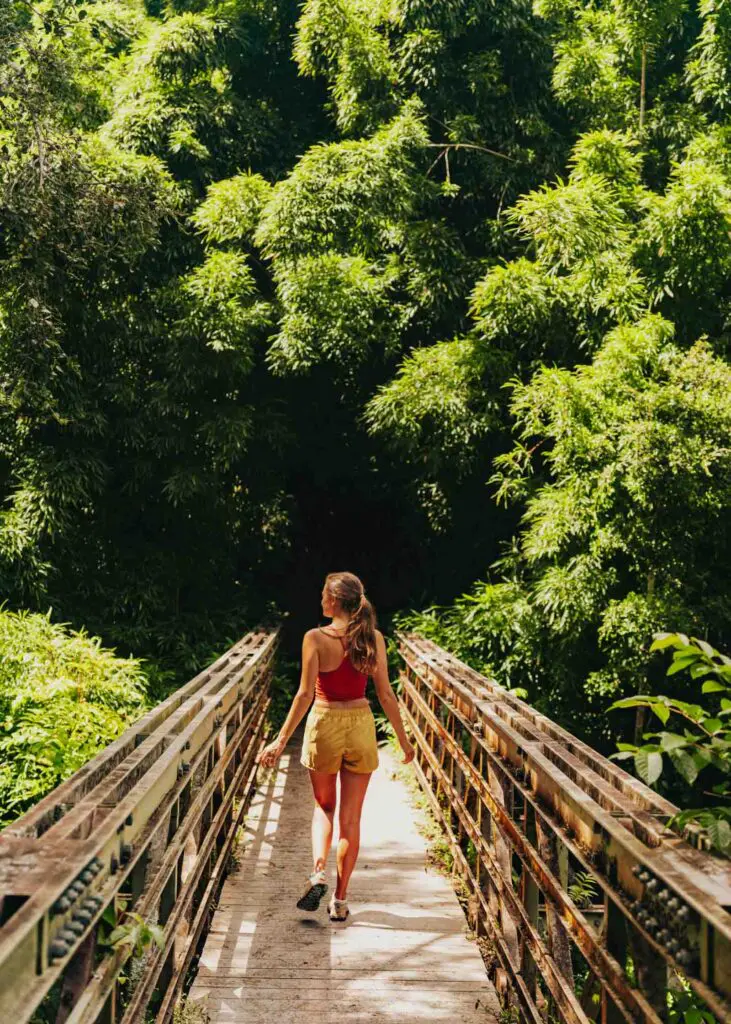 Pipiwai trail bridge on Maui's Hana Highway