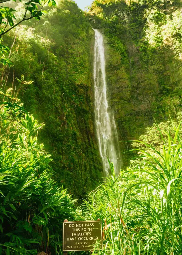 Waimoku Falls on the Kīpahulu District of Haleakalā National Park