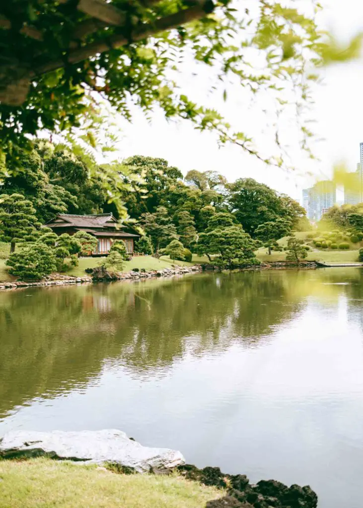 Pond in Tokyo
