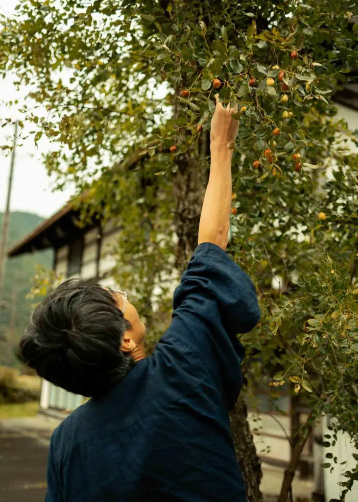 Foraging in Tanekura Japan