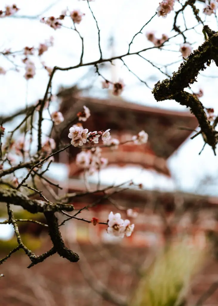 Naritasan Shinsho-ji in Narita, Japan