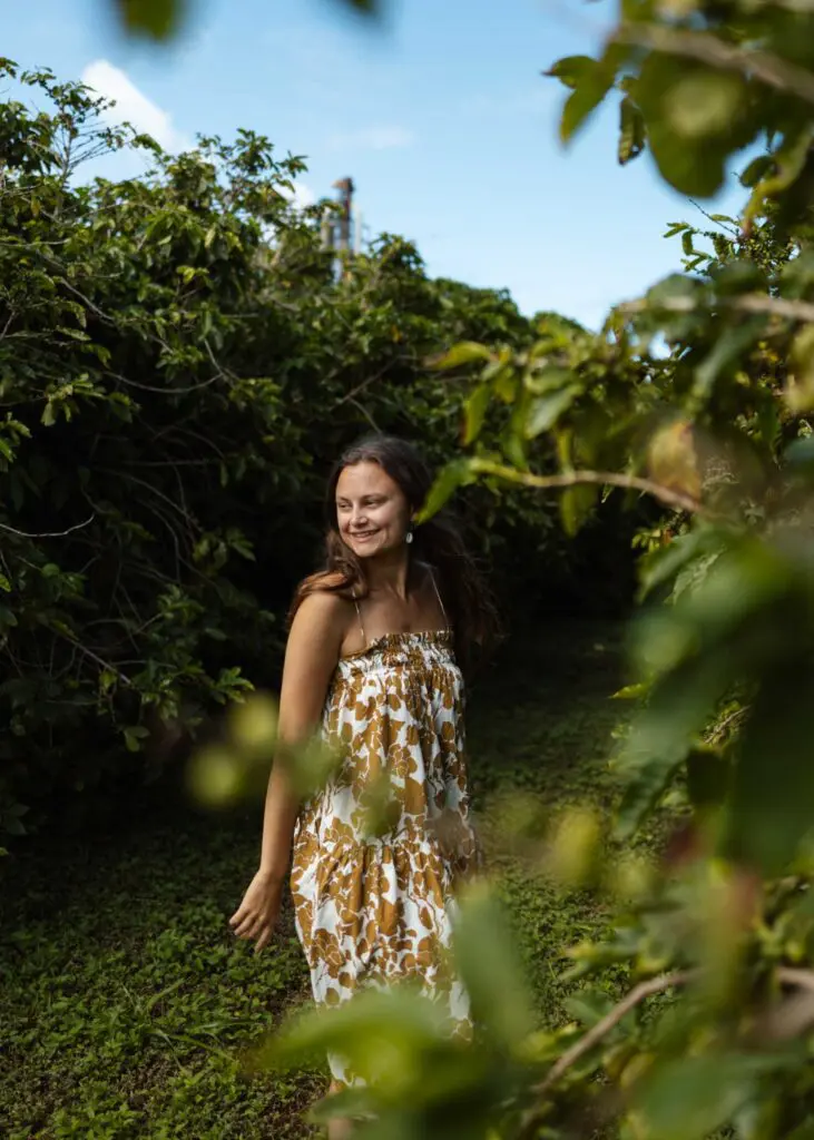 Exploring the coffee groves of Kauai Coffee Company