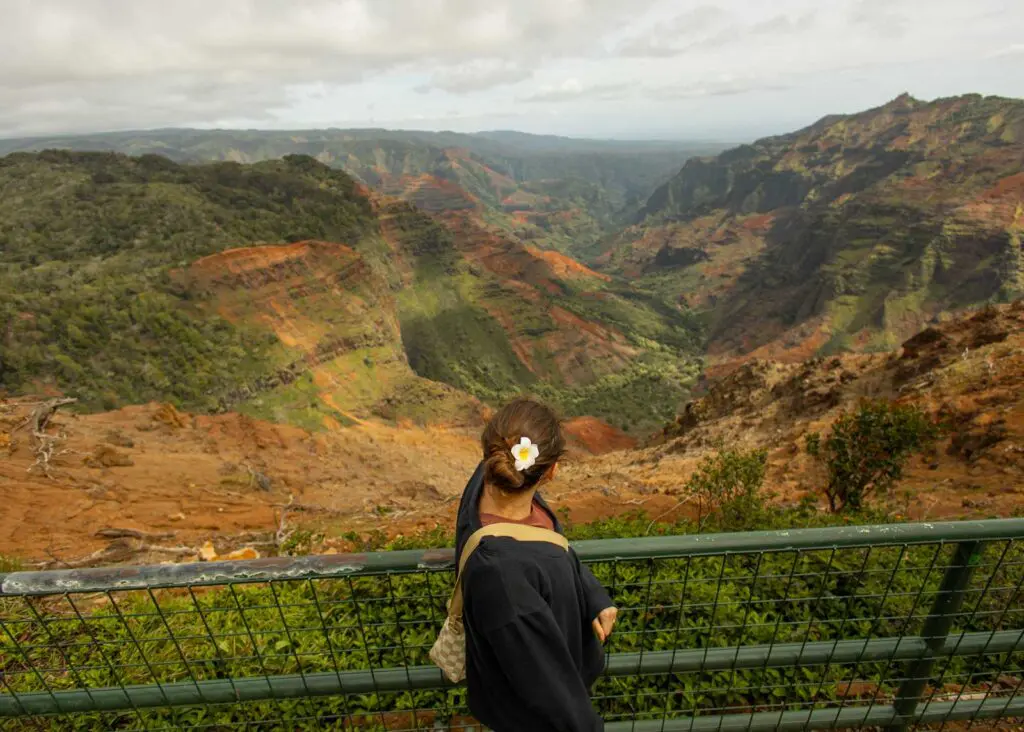Waimea Canyon viewpoint