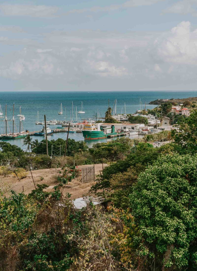 Virgin Voyages Eastern Caribbean Antilles Review
