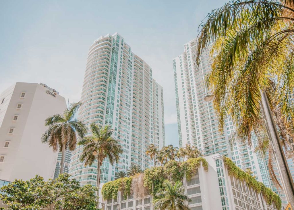 Palm trees and Miami hotels