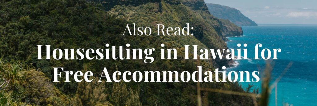 Hawaii housesitting article