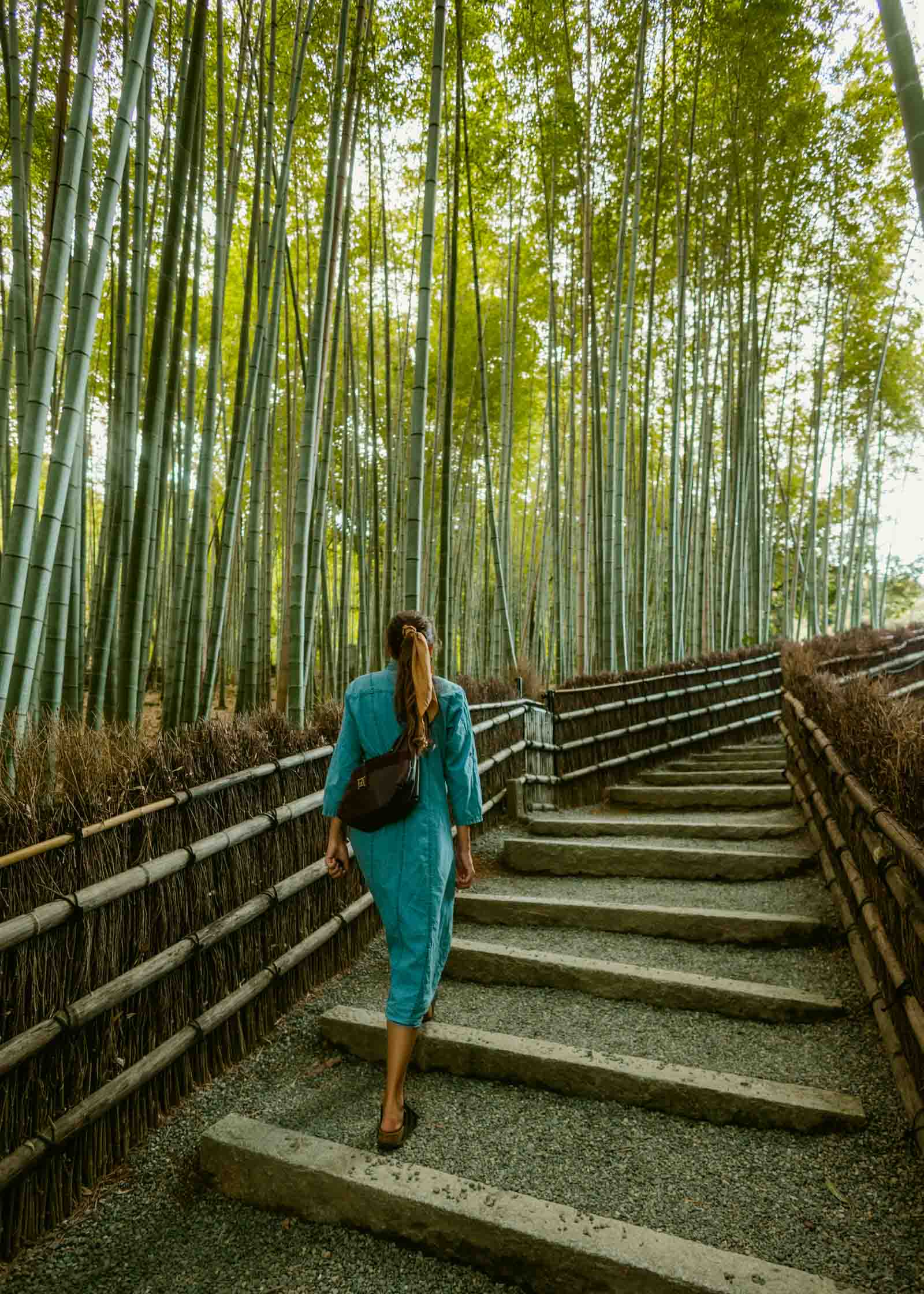 三岳　田倉　薩摩茶屋　ひとり歩き　瀞とろ　GO GOＳＹOＴＹU 1 Day Arashiyama Itinerary: Moss Temple, Boat Ride & Bamboo